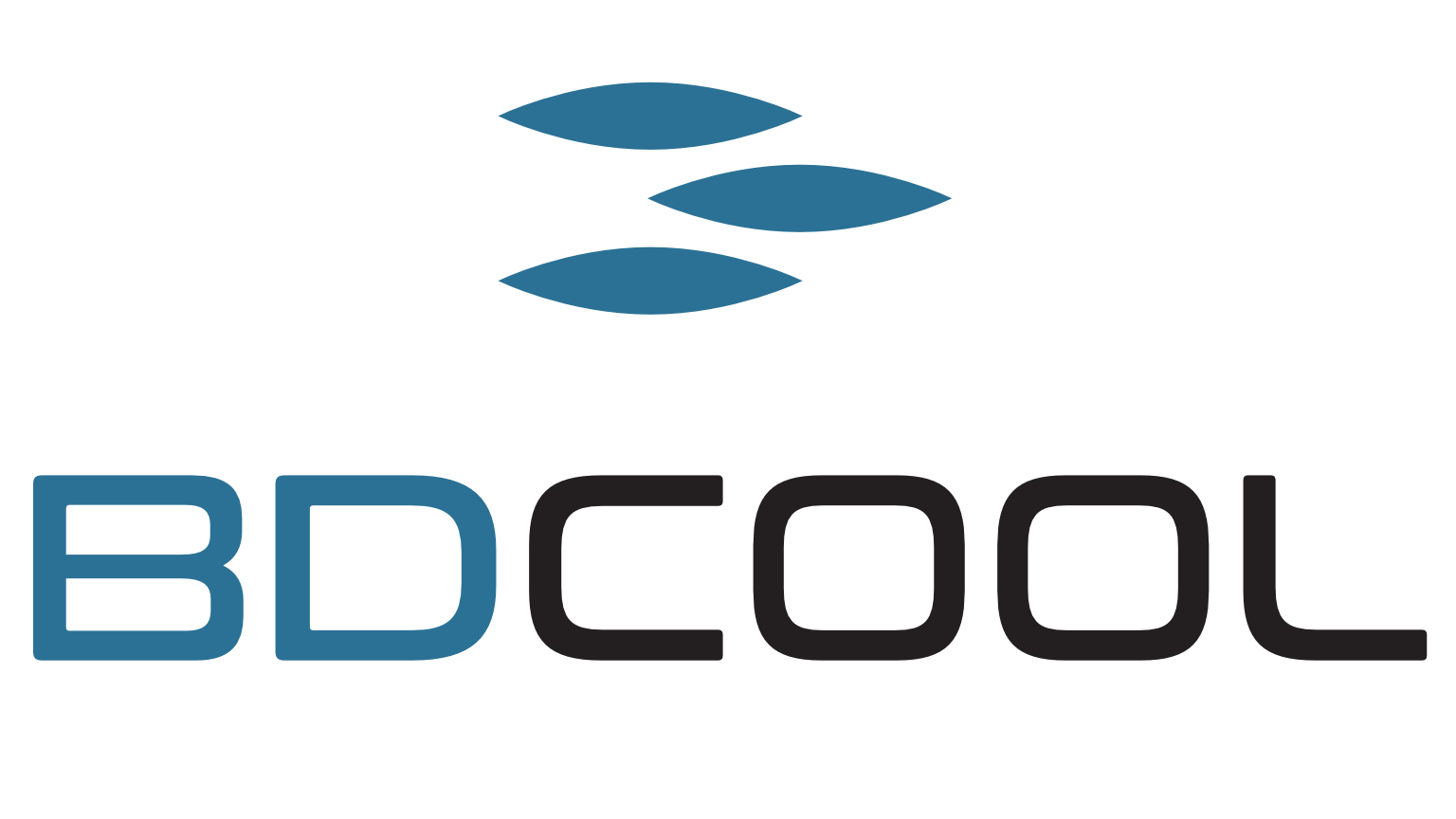 BD Cool Kft. logó